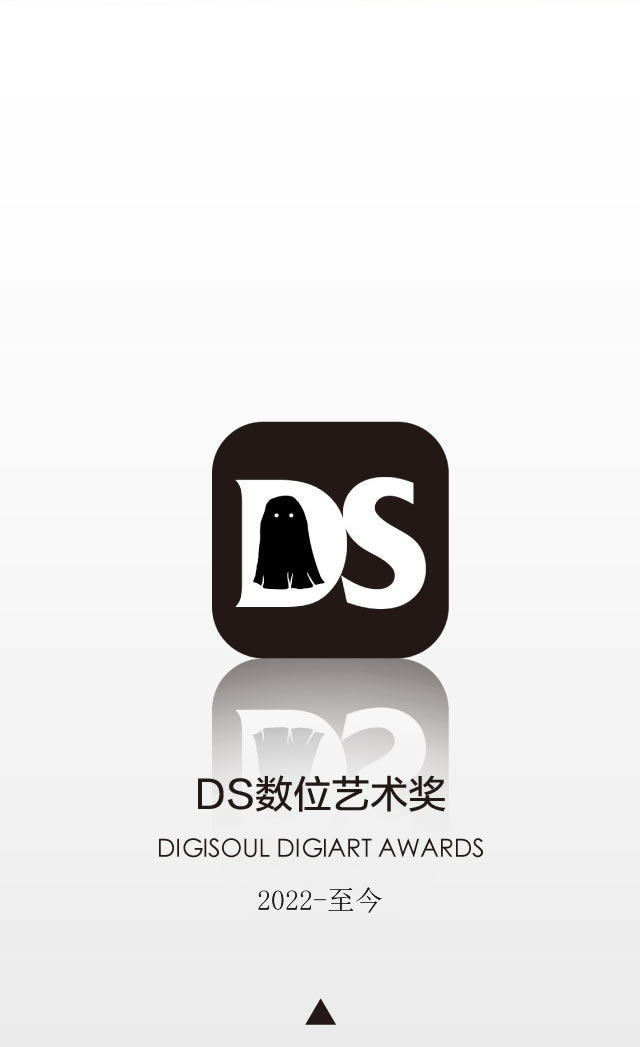 DS数位艺术奖